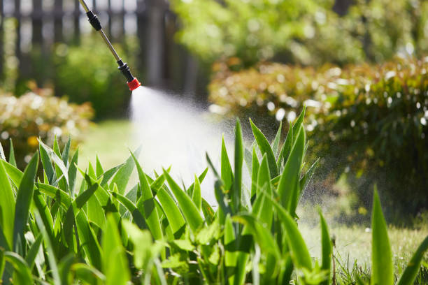 24/7 Emergency Mosquito Control experts in Blackwells Mills, NJ