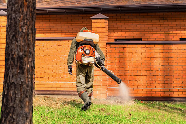 Trusted Mosquito Control service in Blackwells Mills, NJ - Nex Pest Control
